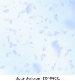 Light blue flower petals falling down. Enchanting romantic flowers falling rain. Flying petal on blue sky square background. Love, romance concept. Bewitching wedding invitation.