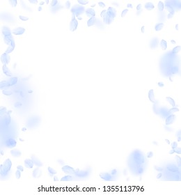 Light blue flower petals falling down. Grand romantic flowers frame. Flying petal on white square background. Love, romance concept. Bizarre wedding invitation.