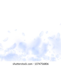 Light blue flower petals falling down. Dazzling romantic flowers gradient. Flying petal on white square background. Love, romance concept. Brilliant wedding invitation.