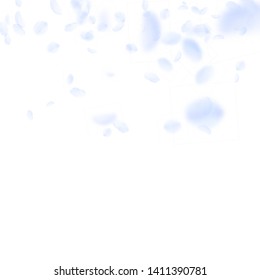 Light blue flower petals falling down. Sublime romantic flowers gradient. Flying petal on white square background. Love, romance concept. Comely wedding invitation.