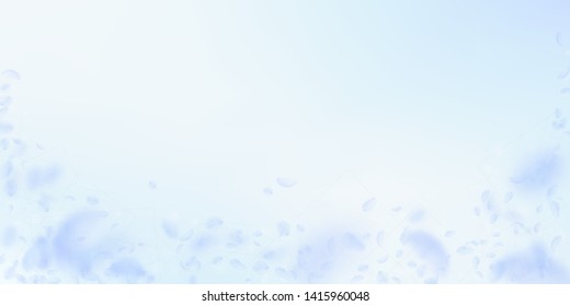 Light blue flower petals falling down. Beautiful romantic flowers falling rain. Flying petal on blue sky wide background. Love, romance concept. Delightful wedding invitation.
