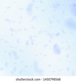Light blue flower petals falling down. Adorable romantic flowers falling rain. Flying petal on blue sky square background. Love, romance concept. Bewitching wedding invitation.