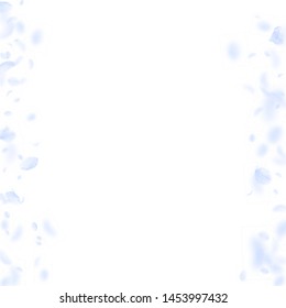Light blue flower petals falling down. Pleasant romantic flowers borders. Flying petal on white square background. Love, romance concept. Actual wedding invitation.