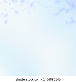 Light blue flower petals falling down. Awesome romantic flowers gradient. Flying petal on blue sky square background. Love, romance concept. Charming wedding invitation.