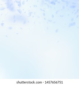 Light blue flower petals falling down. Eminent romantic flowers gradient. Flying petal on blue sky square background. Love, romance concept. Cool wedding invitation.