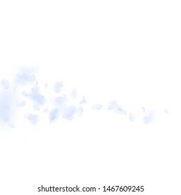 Light blue flower petals falling down. Remarkable romantic flowers comet. Flying petal on white square background. Love, romance concept. Actual wedding invitation.