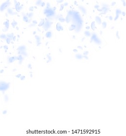 Light blue flower petals falling down. Enchanting romantic flowers falling rain. Flying petal on white square background. Love, romance concept. Beautiful wedding invitation.