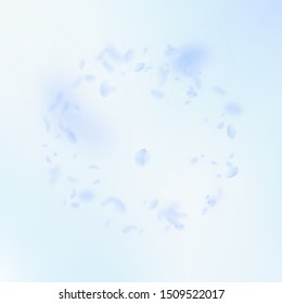 Light blue flower petals falling down. Alluring romantic flowers frame. Flying petal on blue sky square background. Love, romance concept. 