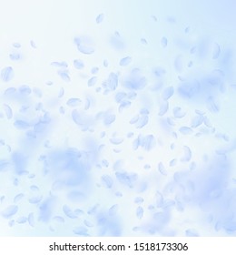 Light blue flower petals falling down. Pretty romantic flowers gradient. Flying petal on blue sky square background. Love, romance concept. Breathtaking wedding invitation.