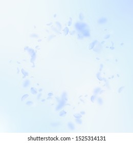 Light blue flower petals falling down. Marvelous romantic flowers vignette. Flying petal on blue sky square background. Love, romance concept. Curious wedding invitation.