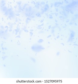 Light blue flower petals falling down. Favorable romantic flowers falling rain. Flying petal on blue sky square background. Love, romance concept. Authentic wedding invitation.