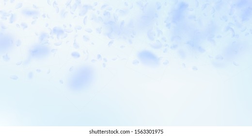 Light blue flower petals falling down. Ecstatic romantic flowers gradient. Flying petal on blue sky wide background. Love, romance concept. Divine wedding invitation.
