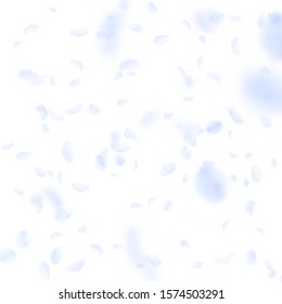 Light blue flower petals falling down. Alluring romantic flowers falling rain. Flying petal on white square background. Love, romance concept. Bewitching wedding invitation.
