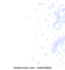 Light blue flower petals falling down. Optimal romantic flowers gradient. Flying petal on white square background. Love, romance concept. Captivating wedding invitation.