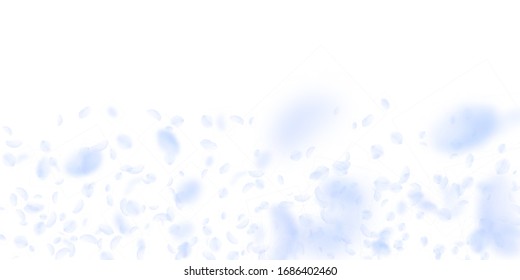 Light blue flower petals falling down. Lovely romantic flowers gradient. Flying petal on white wide background. Love, romance concept. Divine wedding invitation.