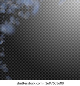 Light blue flower petals falling down. Lovely romantic flowers corner. Flying petal on transparent square background. Love, romance concept. Admirable wedding invitation.