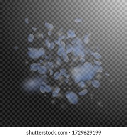 Light blue flower petals falling down. Outstanding romantic flowers explosion. Flying petal on transparent square background. Love, romance concept. Attractive wedding invitation.