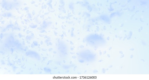 Light blue flower petals falling down. Stunning romantic flowers gradient. Flying petal on blue sky wide background. Love, romance concept. Divine wedding invitation.