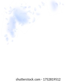 Pétalos de flores azules claros cayendo. Un extraordinario rincón de flores románticas. Pétalo volando sobre fondo cuadrado blanco. Amor, concepto romántico. Invitación divertida a la boda.