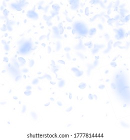 Pétalos de flores azules claros cayendo. Pintando el degradado romántico de las flores. Pétalo volando sobre fondo cuadrado blanco. Amor, concepto romántico. Invitación clásica a la boda.