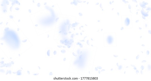 Light Blue Flower Petals Falling Down. Incredible Romantic Flowers Explosion. Flying Petal On White Wide Background. Love, Romance Concept. Decent Wedding Invitation.