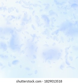 Light blue flower petals falling down. Exceptional romantic flowers gradient. Flying petal on blue sky square background. Love, romance concept. Bold wedding invitation.