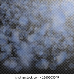 Hellblaue Blütenblätter fallen herunter. Genießen Sie romantische Blumen. Fliegendes Blütenblatt auf transparentem, quadratischem Hintergrund. Liebe, Liebeskonzept. Kühne Hochzeitseinladung.