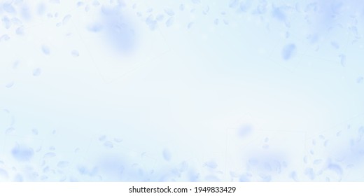 Light blue flower petals falling down. Pleasing romantic flowers vignette. Flying petal on blue sky wide background. Love, romance concept. Dramatic wedding invitation.