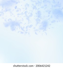 Pétalos de flores azules claros cayendo. Semicírculo sublime de flores románticas. Pétalo volando sobre fondo azul de la plaza del cielo. Amor, concepto romántico. Genial invitación a la boda.