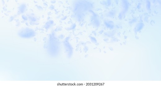 Light blue flower petals falling down. Eminent romantic flowers semicircle. Flying petal on blue sky wide background. Love, romance concept. Dramatic wedding invitation.