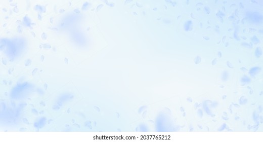 Light blue flower petals falling down. Lovely romantic flowers vignette. Flying petal on blue sky wide background. Love, romance concept. Dramatic wedding invitation.