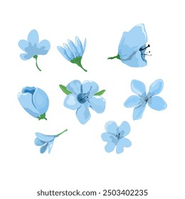 light blue flowers vector illustration set