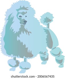 hellblauer, flauschiger Poodle, Vektorgrafik in Pastellfarben mit Farbverlauf-Pedigrehund