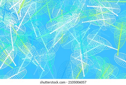 Light Blue, Green vector doodle background with leaves. leaves on elegant natural pattern with gradient. Elegant pattern for your brand book.
