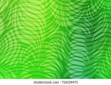 Light Blue, Green vector doodle blurred pattern. Colorful abstract illustration with lines in Asian style. The textured pattern can be used for website.