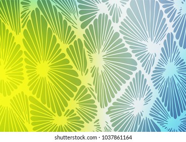 Light Blue, Green vector indian curved template. Brand-new colored illustration in blurry style with doodles. A completely new design for your business.