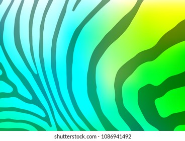 Light Blue, Green vector indian curved texture. Geometric doodle illustration in Origami style with gradient. The elegant pattern can be used as a part of a brand book.