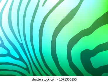 Light Blue, Green vector indian curved background. A completely new color illustration in doodle style. A completely new template for your business design.