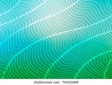 Light Blue, Green vector indian curved texture. Shining colored illustration with doodles in Arabic style. Brand-new style for your business design.