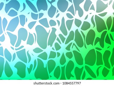 Light Blue, Green vector natural abstract pattern. Decorative shining illustration with doodles on abstract template. Brand-new design for your business.