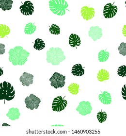 Light Blue, Green vector seamless natural backdrop with flowers, leaves. Shining colored illustration with leaves and flowers. Design for textile, fabric, wallpapers.