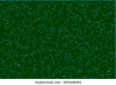 Hellblau, grüne Vektorvorlage mit Kreisen. Illustration mit leuchtenden bunten abstrakten Kreisen. Muster für Werbung, Prospekte.