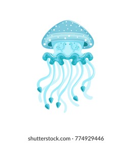 Light blue jellyfish, phyllorhiza punctata species of underwater life   vector Illustration