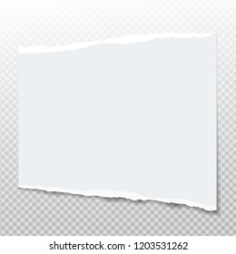 Light blue note, notebook ripped paper for text or message on squared background. Vector illustration.