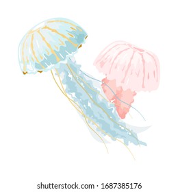 Light blue and pink jellyfishes or medusae are free-swimming marine animals with umbrella-shaped pulsating bells and trailing tentacles. Vector illustration isolated on white for biological projects.