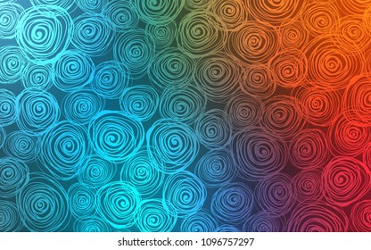 Light Blue, Red vector abstract doodle template. Sketchy doodles with roses on blurred background. The elegant pattern can be used as a part of a brand book.