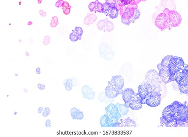 Light Blue, Red vector abstract background with flowers. Glitter abstract illustration with flowers. Elegant pattern for your brand book.