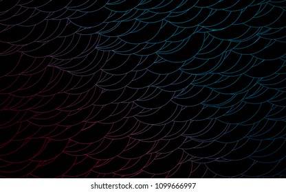 Light Blue, Red vector  background with dots. Glitter abstract illustration with blurred drops of rain. The pattern can be used for beautiful websites.