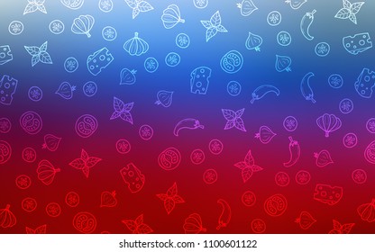 Light Blue, Red vector cover with cuisine gourmet. Glitter abstract sketch with gourmet food. Pattern for menu of cafes, bars, restaurants.