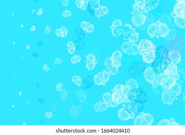 Light Blue, Red vector doodle pattern with flowers. Creative illustration in blurred style with flowers. New template for your brand book.